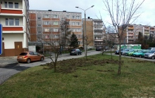 Po wizycie dzików na osiedlu, Sztolniowa - 2016 rok (ze zbiorów własnych).